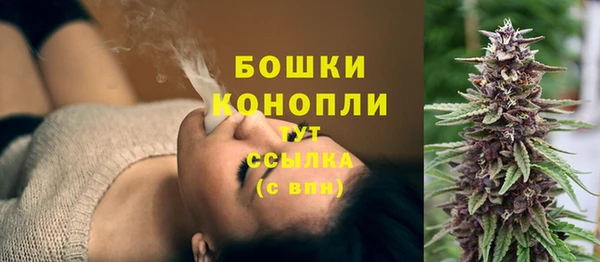 PSILOCYBIN Абаза