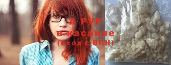 PSILOCYBIN Абаза