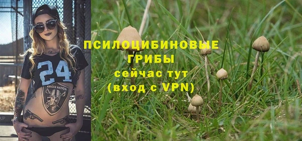 PSILOCYBIN Абдулино
