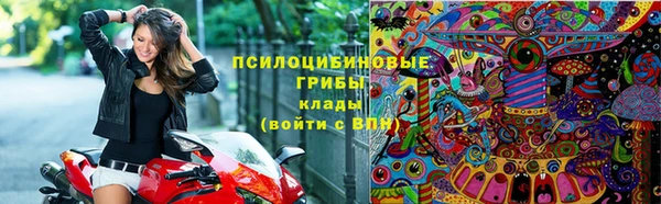 PSILOCYBIN Абдулино