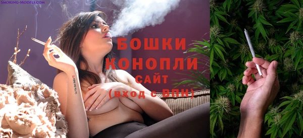 PSILOCYBIN Абаза