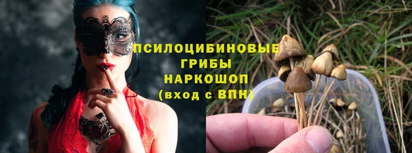 PSILOCYBIN Абаза